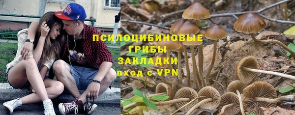 Альфа ПВП Пестово